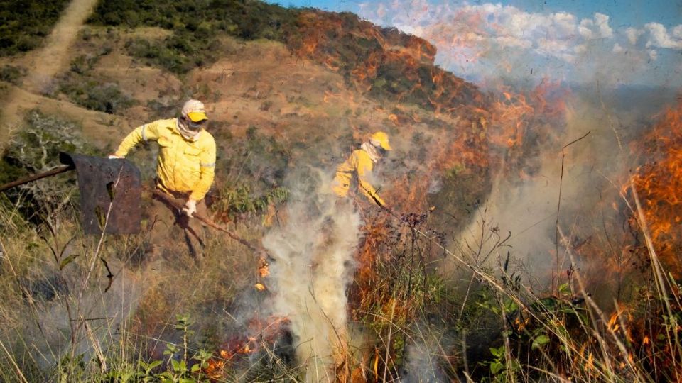 Foto: Duda Menegassi (O Eco)