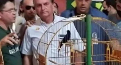 Sem mais o que fazer, Bolsonaro visita competição de pássaros engaiolados