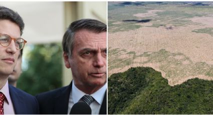 Em 3 anos, governo Bolsonaro promoveu retrocesso ambiental de 30, diz dossiê