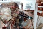 Explosão da miséria: Mercado no PA vende restos de peixe