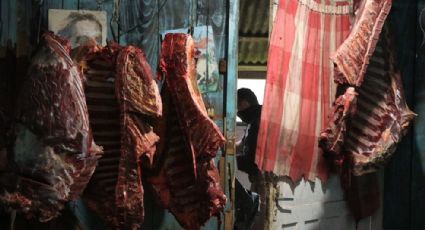 Grupo suspeito de vender carne de cavalo para restaurantes é preso em Caxias do Sul