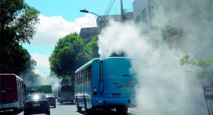 Alergia: entenda como as mudanças climáticas pioram a condição