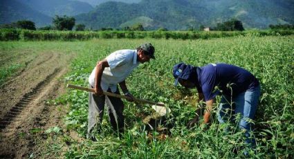 Congresso derruba veto de Bolsonaro a lei de apoio à agricultura familiar