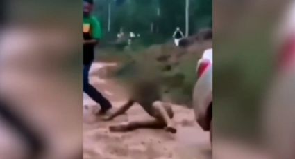 VÍDEO: Jovem é arrastado pelo pescoço após evento em fazenda de GO