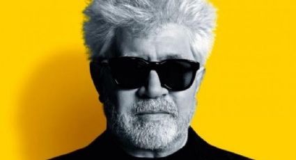 Nome de Pedro Almodóvar é usado para golpe que envolve a Globo e a produção de séries