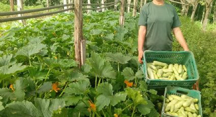 Agricultura Familiar alerta para o agravamento da miséria e fome se PL 823 não for aprovado