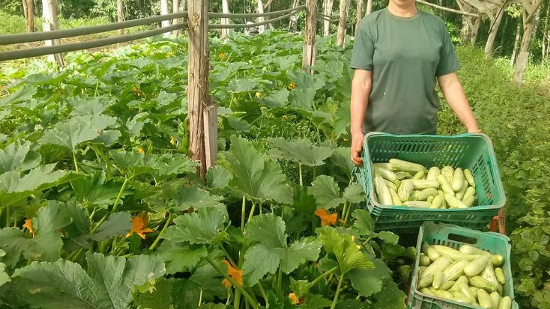Agricultura Familiar alerta para o agravamento da miséria e fome se PL 823 não for aprovado