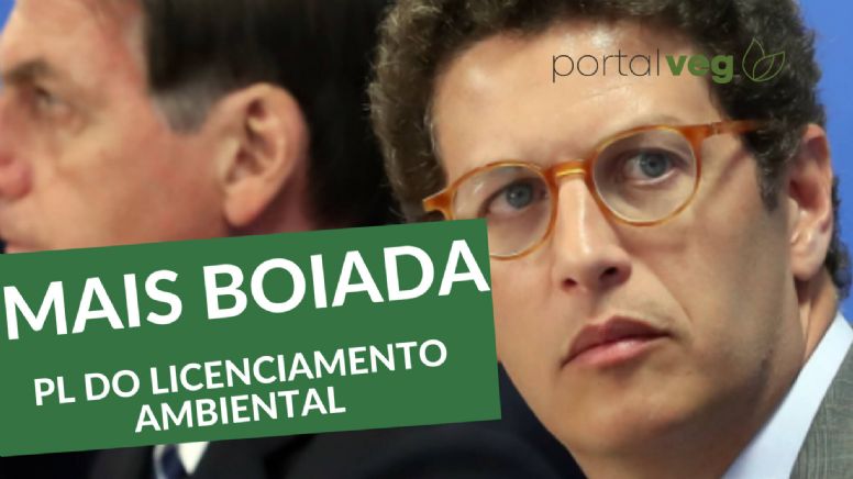 Passando a boiada: PL 3729/2004 acaba com o licenciamento ambiental