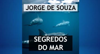 O Planeta Azul – Histórias do mar: Entrevista com Jorge de Souza