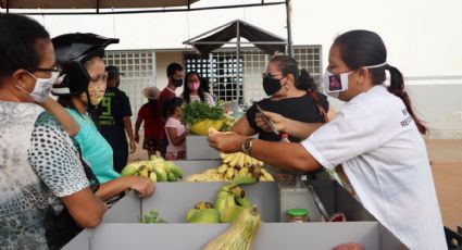 Feira Agroecológica exprime conquistas e a revolução das mulheres de Sento Sé (BA) – Artigo