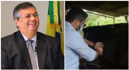 Flávio Dino faz postagem sugestiva sobre vacinação de gado no Maranhão: "Nem precisa estar em cercadinho"