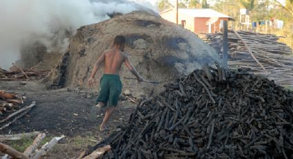 Lei da cadeia de suprimentos alemã irá fortalecer sindicatos brasileiros