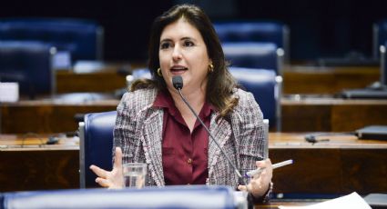 Relatora derruba retorno das coligações no Senado