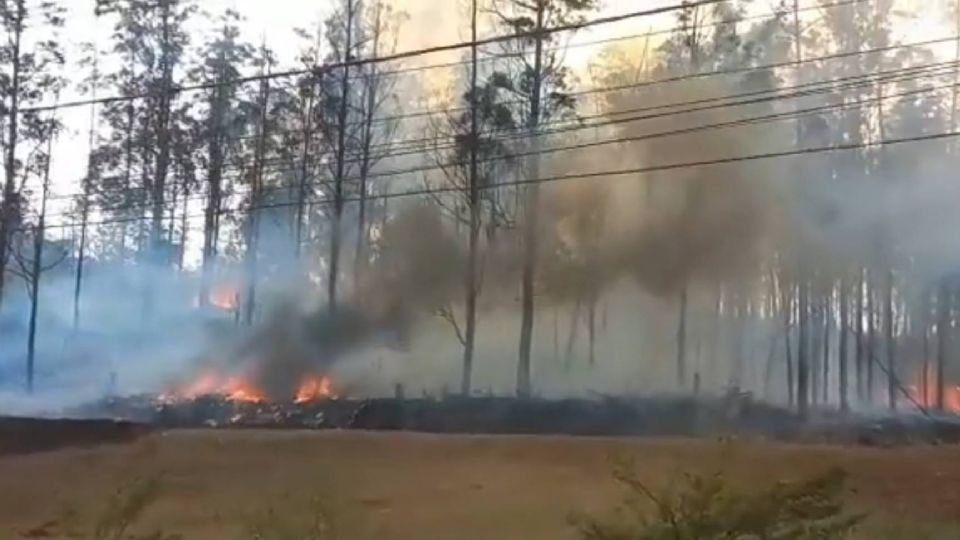 Região onde avião caiu em Piracicaba, no interior de São Paulo (Reprodução)