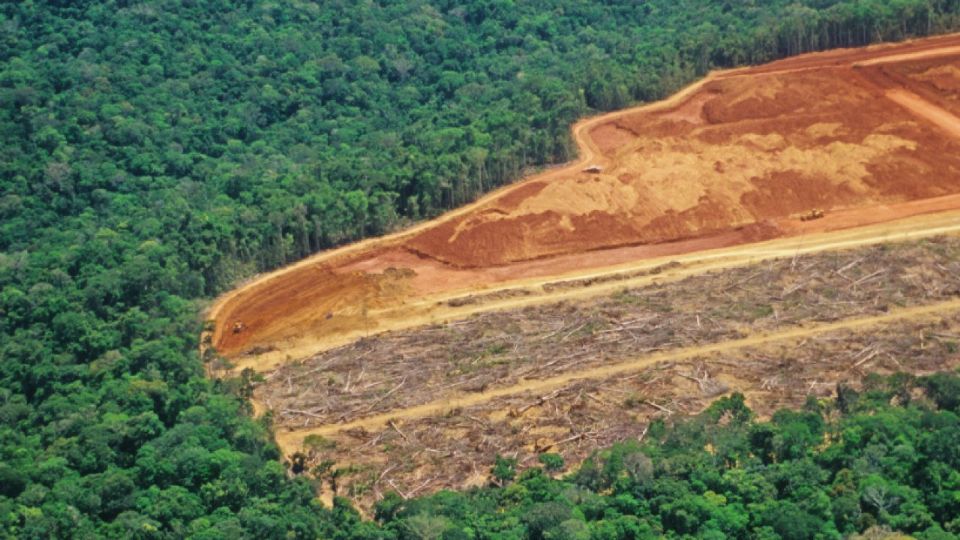 Desmatamento da Amazônia (Foto: Arquivo/Imazon)