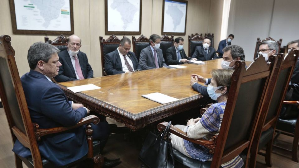 Tereza Cristina (D) e Tarcísio Freitas (E) com assessores em audiência no Ministério da Agricultura (Foto: Guilherme Martimon/MAPA)