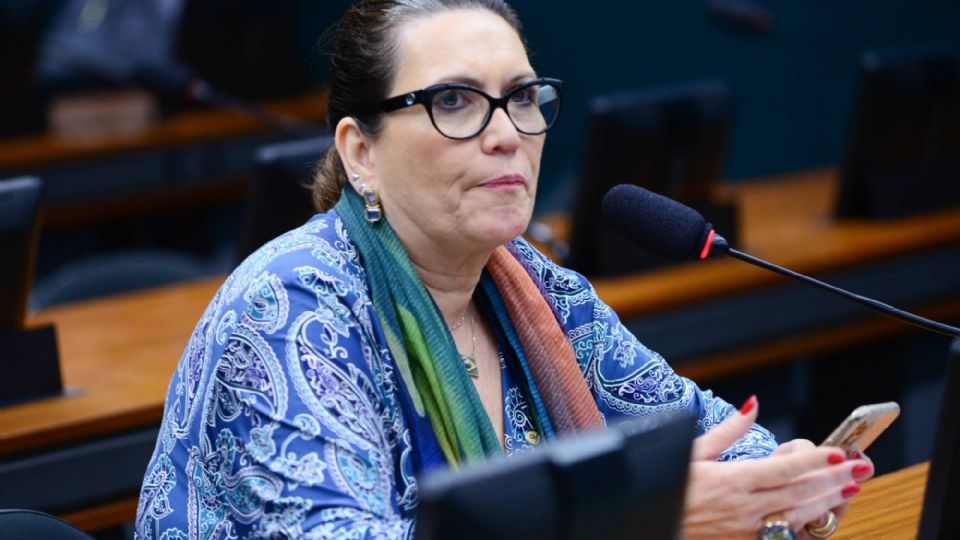 Bia Kicis vazou dados pessoais de médicos pró-vacina (Foto: Billy Boss/Câmara dos Deputados)