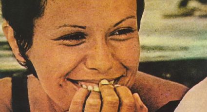 O legado de Elis Regina, 40 anos depois de sua morte, está em toda parte