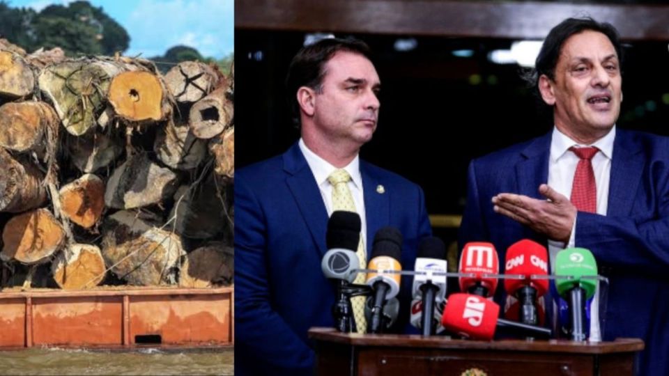 Fotos: Toras apreendidas pela PF (Governo do Estado do Pará) e Flávio Bolsonaro e Frederick Wassef (YouTube/Reprodução)