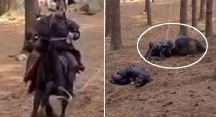 VÍDEO: Cavalo morre por maus-tratos em gravação na Coreia e gera indignação nas redes