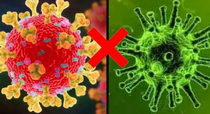 Sabe diferenciar sintomas da Covid-19 e da H3N2? Veja o que dizem os especialistas