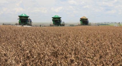 Estudo mapeia lobby ruralista para melhorar imagem e desmente “defesa do meio ambiente”