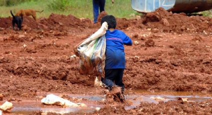 Mudanças climáticas aumentam risco de fome na América Latina, aponta estudo