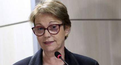 Tereza Cristina é eleita senadora pelo Mato Grosso do Sul