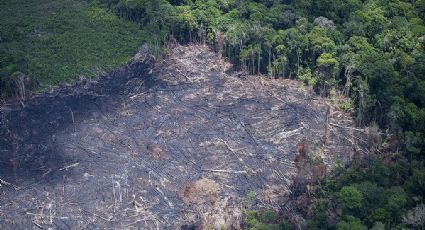 Que Amazônia Lula encontrará em janeiro?