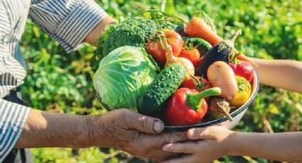 Com mil participantes, GT de Desenvolvimento Agrário faz maior escuta da transição