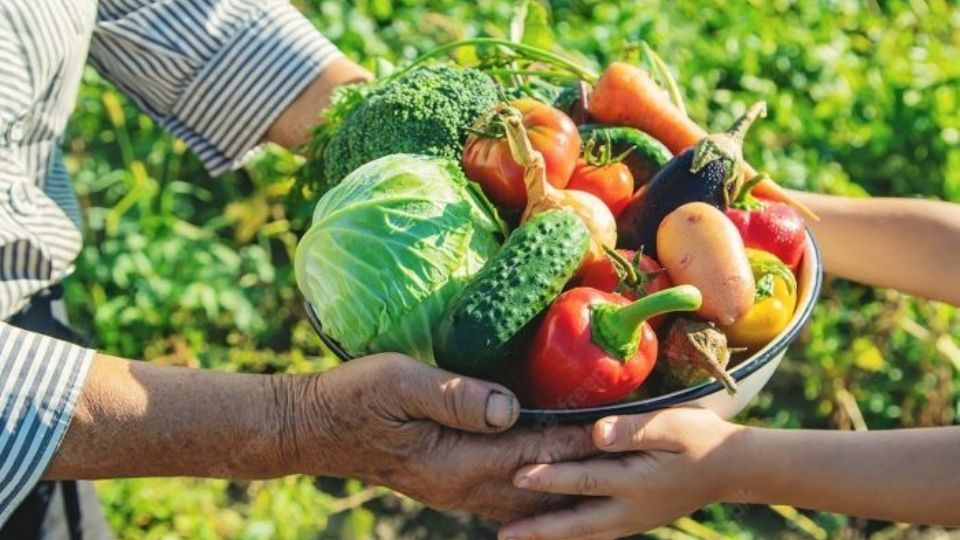 Garantir alimentos para toda a população de forma sustentável é o principal desafio da área.