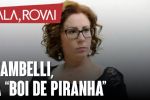 Agora é cada um por si: Clã Bolsonaro joga Zambelli no pântano pra tentar se salvar