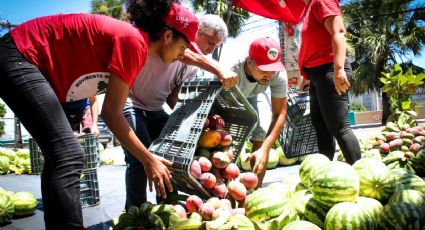 Veja quantas toneladas de alimentos o MST vai doar neste fim de ano