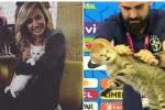 Gato maltratado: Luisa Mell divulga nota técnica após cena protagonizada por assessor da CBF