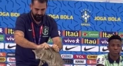 VÍDEO: Gato é expulso à força de coletiva de imprensa da Seleção e revolta internautas