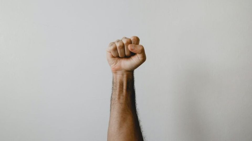 Unsplash/Reprodução