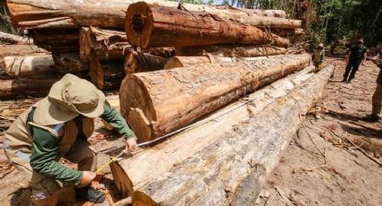 Que futuro estamos construindo? - Por Chico Alencar