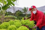 Lula faz aceno aos vegetarianos: "Melhorei o meu discurso"