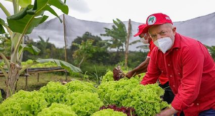 Lula defende comida sem veneno e agroecologia; entenda por que