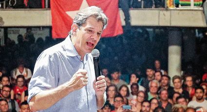 Haddad aparece disparado em 1° para governo de SP, diz pesquisa Real Time Big Data