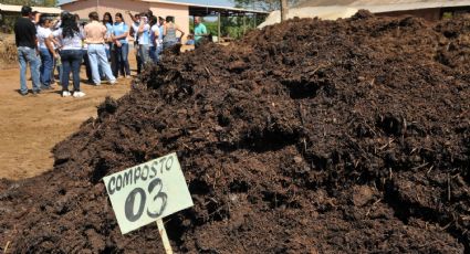 Dependência de fertilizantes da Rússia deixa governo Bolsonaro em situação difícil