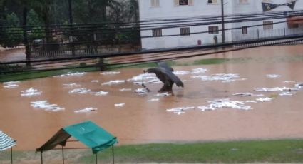 VÍDEO: Petrópolis volta a ficar alagada após novo temporal