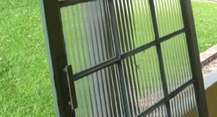 Crime e Calor: Ladrões desmontam deck e roubam piscina em MG