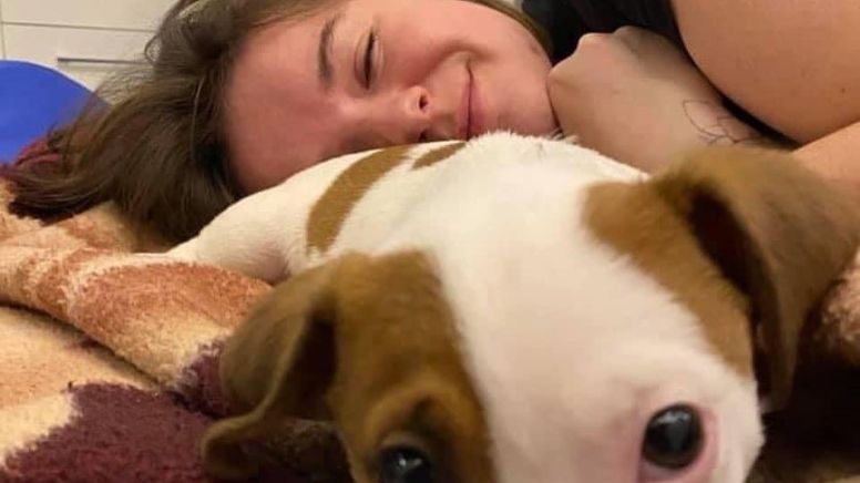 Guerra na Ucrânia: Ativista que se recusou a deixar abrigo de cães e gatos é morta
