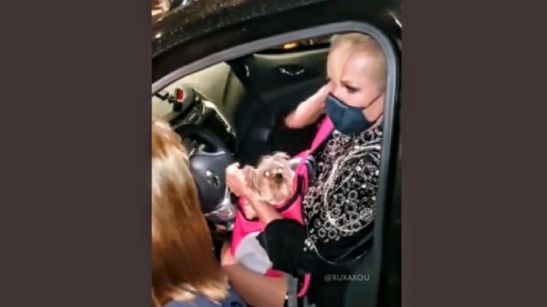 VÍDEO: “Tu não é bolsomínion?”, diz Xuxa ao recusar foto com fã bolsonarista