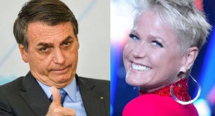 Furiosos! Confira as reações de bolsoafetivos ao ‘coice’ de Xuxa em fã do presidente