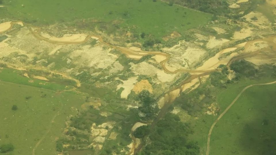 Terra indígena Baú, no Pará. Foto de 2018
