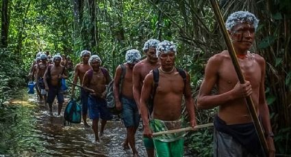 VÍDEO: Cadê os Yanomami? - Por Lelê Teles