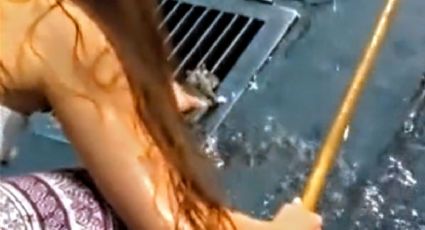 VÍDEO – Moça "salva" rato e abre discussão: até onde vai a proteção aos animais?