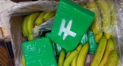 Como 839kg de cocaína foram parar em supermercados junto com bananas